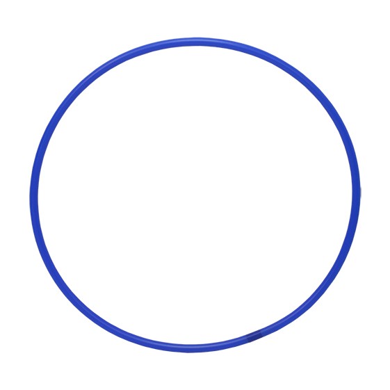 ARO DE RÍTMICA ADULTO