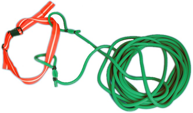 CINTURÓN DE RESISTENCIA NATACIÓN NEW